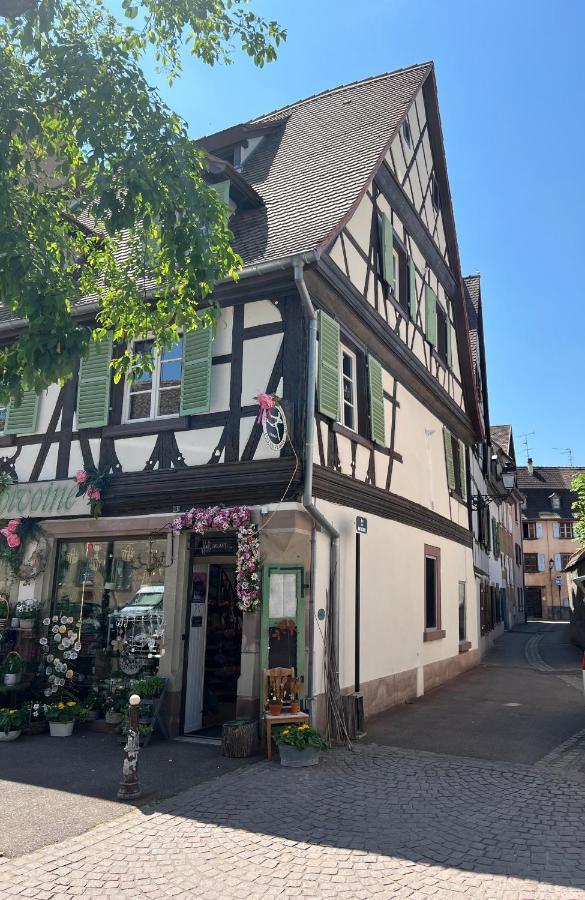La Maison Du Batelier - Quartier Historique Petite Venise Colmar Eksteriør bilde